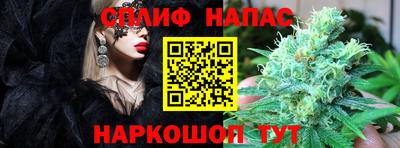 мдпв Кунгур