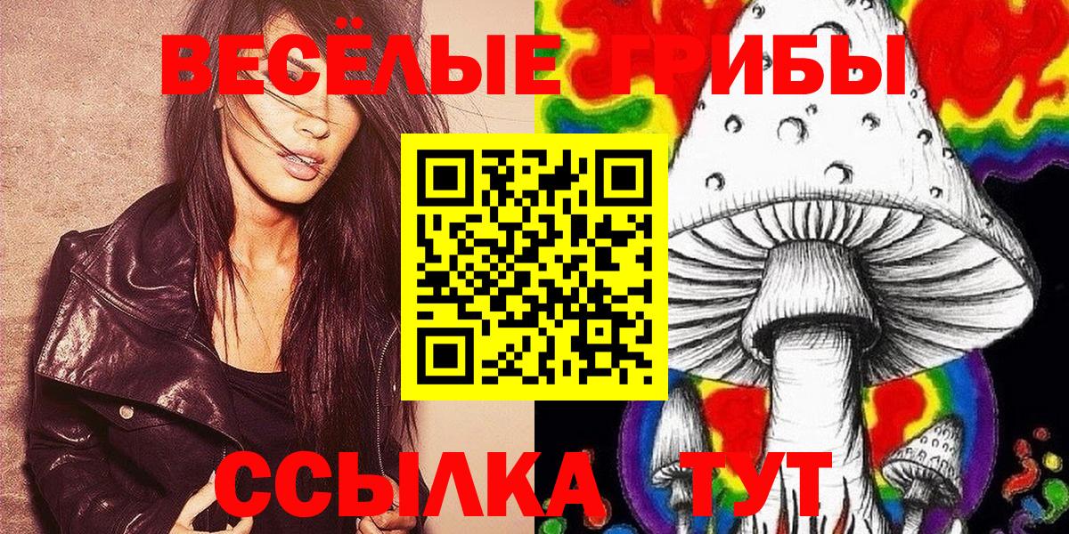 Великий Новгород  Галлюциногенные грибы MAGIC MUSHROOMS  Вход с VPN 