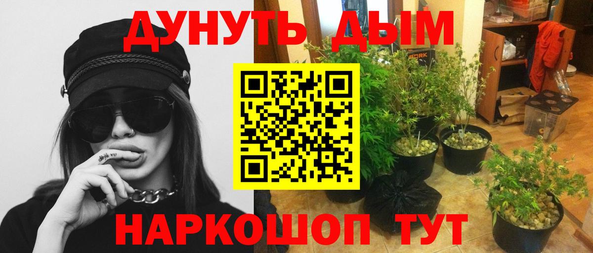 Каннабис AK-47 Великий Новгород